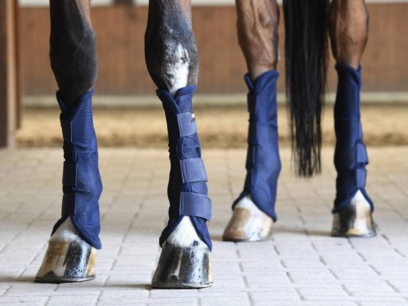 BUSSE Gamaschen Busse Fliegen-Gamaschen COMFORT II von BUSSE