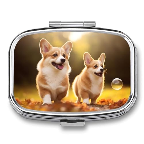 BVKWNTSA Tragbare quadratische Medikamentenbox aus Metall, niedlicher Corgi-Hund, bedruckt, langlebig und wasserdicht, intimer medizinischer Begleiter von BVKWNTSA