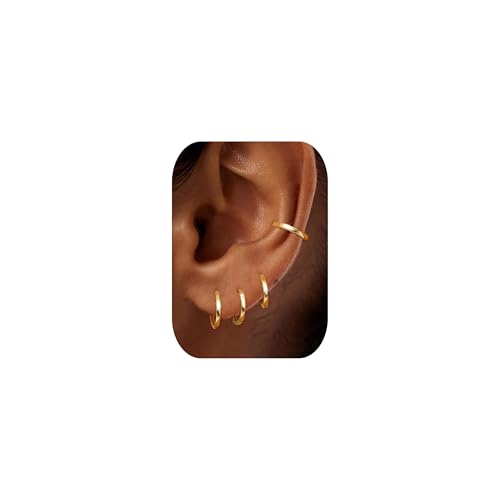 BVLAGIDA 4 Paar Kleine Creolen Silber 925 für Damen Hypoallergen Helix Piercings Creolen Gold Ohrringe Set für Mehrere Piercings 6/8/10/12MM von BVLAGIDA