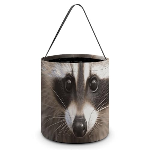 Maße: 20 x 21 x 18 cm (B x L x L), mit Henkel: Halloween-Tragetasche, Waschbär, bedruckt, wiederverwendbar, für Partys und Geschenke von BVNMT