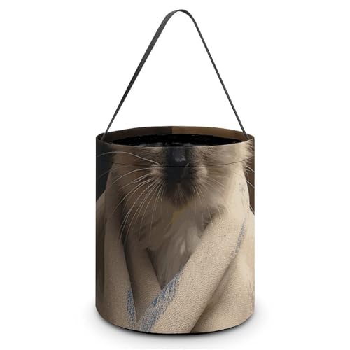 Maße: 20 x 21 x 18 cm (B x L x L): Halloween-Tragetasche, Katze auf Decke, bedruckte Süßigkeitentüten – wiederverwendbar für Partys und Geschenke von BVNMT