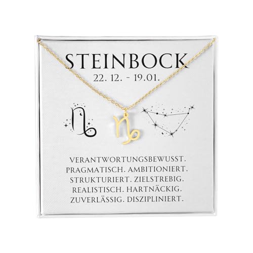 BYLITZ Sternzeichen Kette mit LED Geschenkbox und Karte Zodiak Halskette mit Anhänger für Frauen Damen Tochter Nichte Enkelin Freundin Mädchen (Steinbock | Gold) von BYLITZ