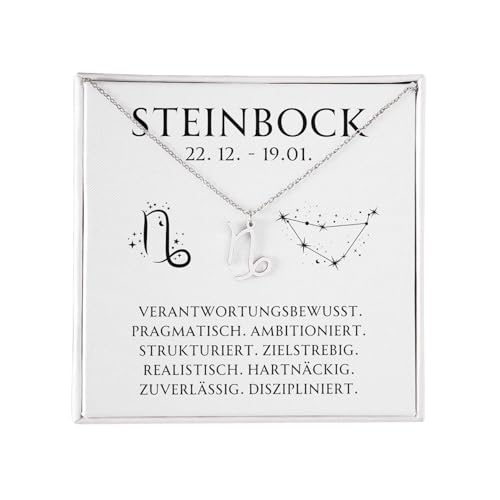 BYLITZ Sternzeichen Kette mit LED Geschenkbox und Karte Zodiak Halskette mit Anhänger für Damen Frauen Tochter Nichte Enkelin Freundin Mädchen (Steinbock | Silber) von BYLITZ