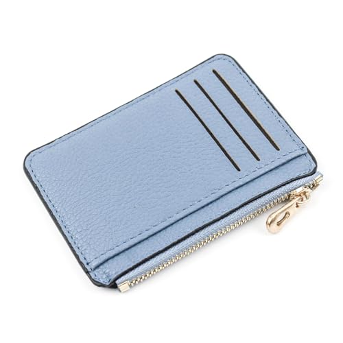 BYYLECL Damen Geldbörse mit Edelstahl Reißverschluss, PU Leder Akkordeon Geldbörsen Etui Kartenetuis mit 3 Fächern, himmelblau, 9x12x0.7cm von BYYLECL