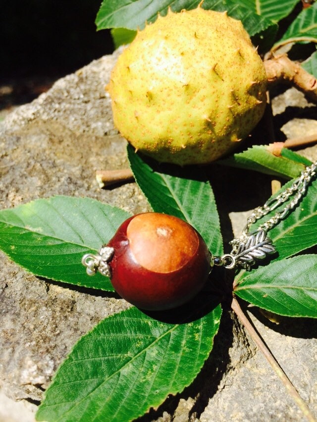 Buckeye Halskette Echte, Schöne, Einfache, Gehäkelte/Anhänger Fan Ohio Zustand Fußball Zubehör Geschenk College Versandkostenfrei Buckeye Halskette Echte, Schöne, Einfache, Gehäkelte/Anhänger Fan Ohio Zustand Fußball Zubehör Geschenk College Versandkostenfrei von BabbAbode