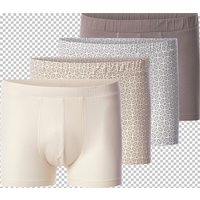 4er Pack Boxershorts VIRENZO Babista braun beige von Babista