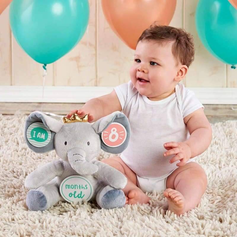 My First Elephant Plush Plus Baby Milestone Markers von Baby Aspen