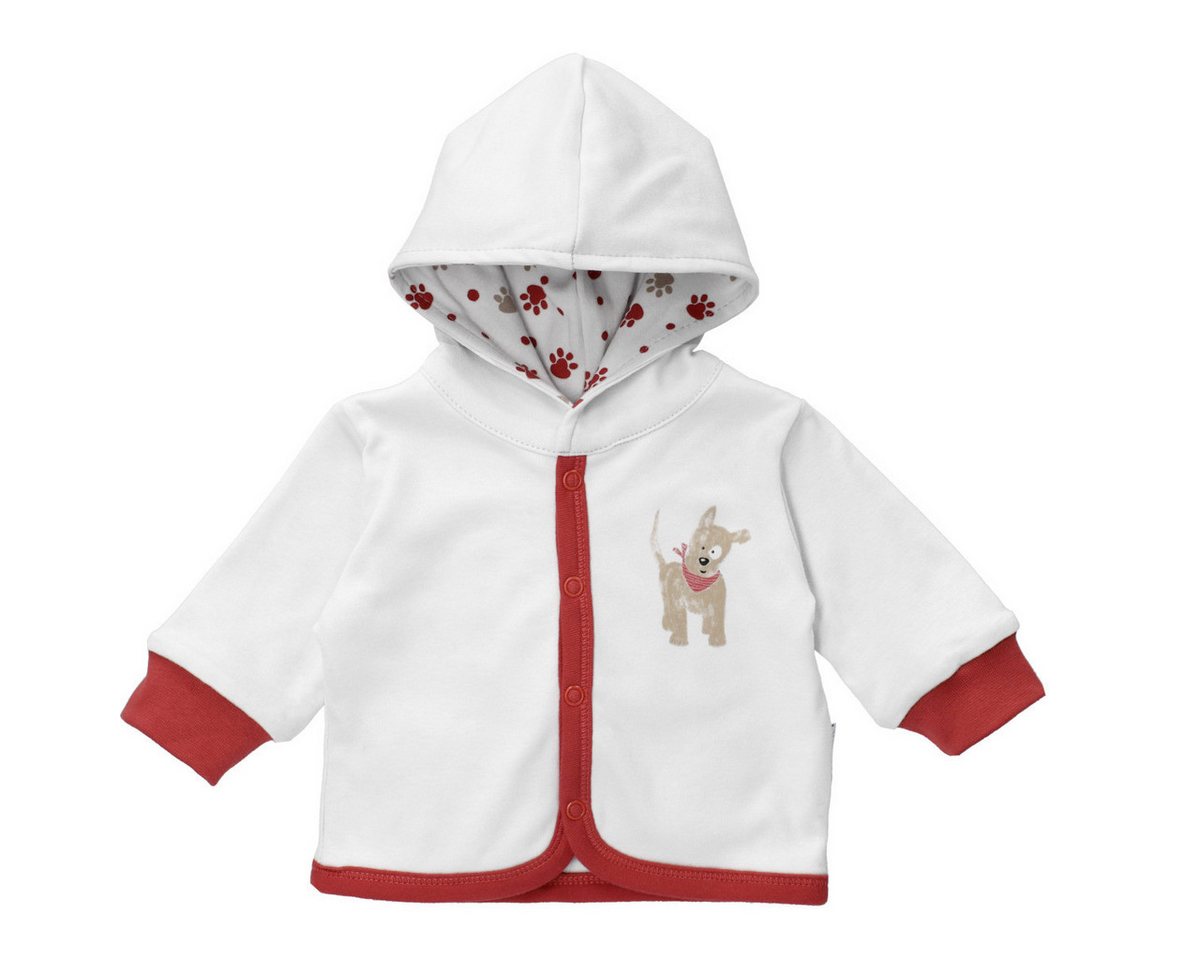 Baby Sweets Wendejacke Little Paw Jungen (1-St) Wendejacke, Wendeblouson, 2-in-1-Jacke, Doppeljacke, Übergangsjacke von Baby Sweets