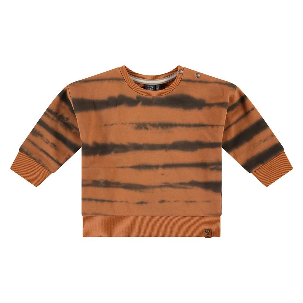 Babyface Sweatshirt Pullover Junge WInter canyon Batik von Babyface