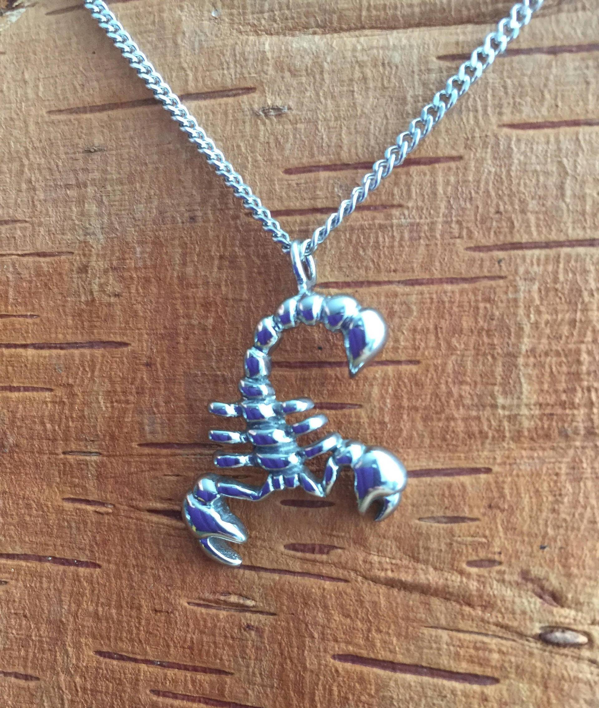 Skorpion Halskette, Sternzeichen Herren Schmuck, Astrologie Charm, Insekt Tier Schmuck von BadassjewelryToronto