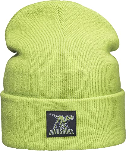 (A) Patch Strickmütze für Kinder: Dinosaurs - Dino Dinosaurier Dinos T-Rex - Strickmütze Wintermütze Warme Mütze Beanie Kappe Geschenk für Junge Jungen & Mädchen (Lime Grün) von Baddery