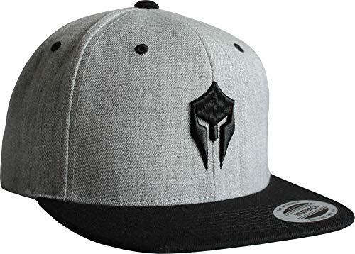 Baddery Gym Cap Flexfit Snapback : Sparta - Spartan Kappe Herren & Damen (Grau) von Baddery