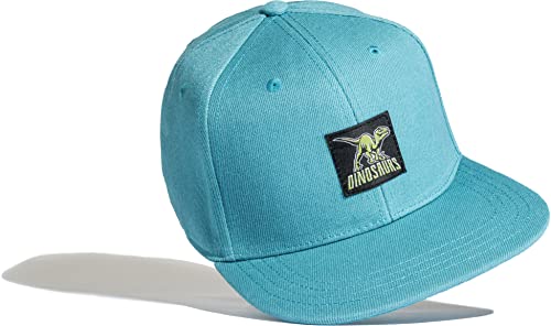 Cap Dinosaurier Jungen : Dino T-Rex (Patch) - Kinder Cap Basecap Kappe Jungs Mütze Dino Kostüm (Türkis) von Baddery