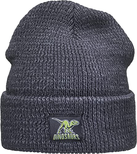 Baddery Reflektierende Mütze für Kinder mit Patch: Dinosaurs - Dino Dinosaurier Dinos T-Rex - Wintermütze Beanie Geschenk für Jungen & Mädchen - Reflex Reflektor Sichtbarkeit Sichtbar (Grau) von Baddery