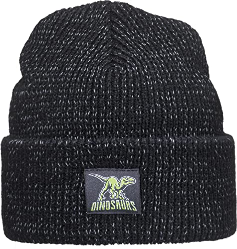 Baddery Reflektierende Mütze für Kinder mit Patch: Dinosaurs - Dino Dinosaurier Dinos T-Rex - Wintermütze Beanie Geschenk für Jungen & Mädchen - Reflex Reflektor Sichtbarkeit Sichtbar (Schwarz) von Baddery