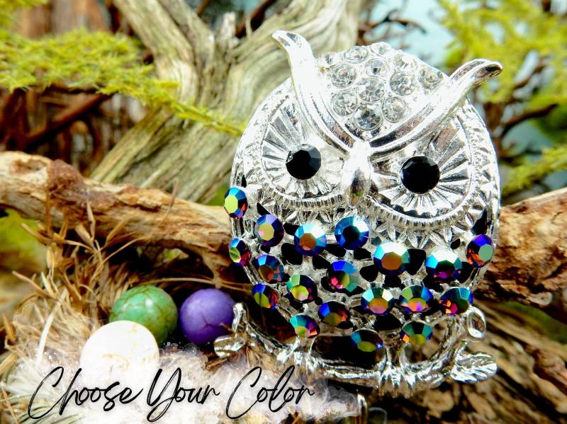 Bling Eule Abzeichen Clip, Strass Anstecker, Kristall Rolle, Krankenschwester Schmuck, Zubehör von BadgeAlleybyGerAnne