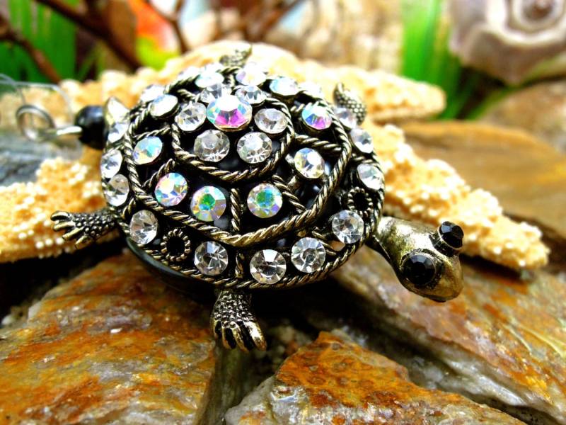 Schildkröten-Ausweishalter - Einziehbare Ausweisrolle Diamie-Ausweishalter Geschenke Für Sprachpathologen-Assistenten Slp-Ausweishalter Rn-Geschenke von BadgeAlleybyGerAnne