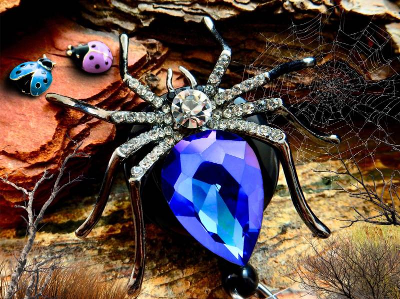 Spinne Badge Clip - Einziehbarer Strassstein Ausweishalter Für Krankenschwestern & Pflegekräfte Spinne Badge Clip - Einziehbarer Strassstein Ausweishalter Für Krankenschwestern & Pflegekräfte von BadgeAlleybyGerAnne