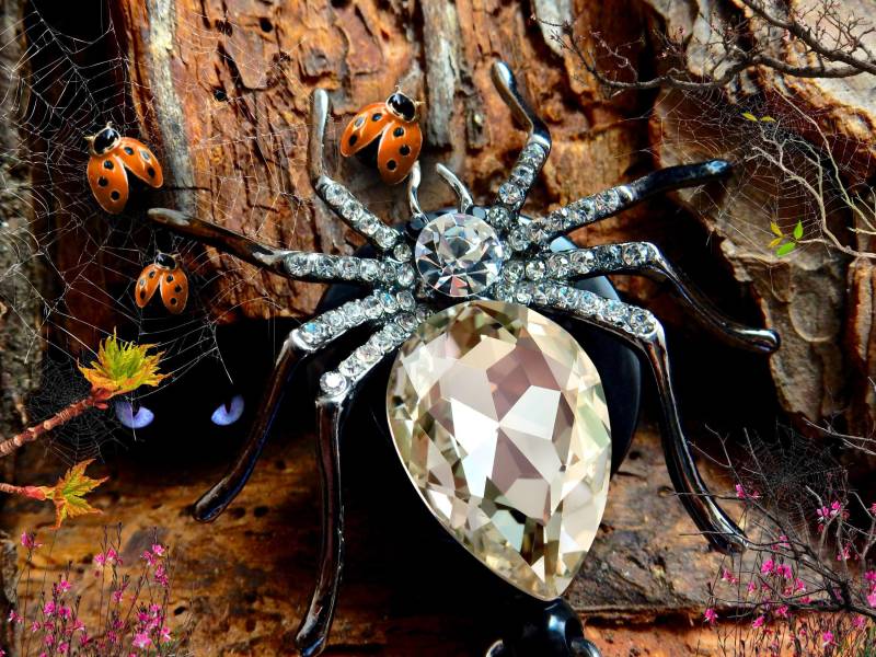 Spinnen-Abzeichen-Rolle - Strass Einziehbarer Ausweishalter Für Krankenschwestern, Ärzte Oder Büroangestellte von BadgeAlleybyGerAnne