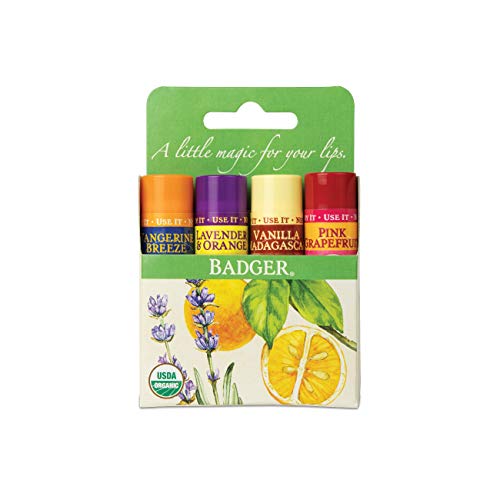 Badger Organic Lip Balm 4 Sticks Gift Set Green Pack von Badger