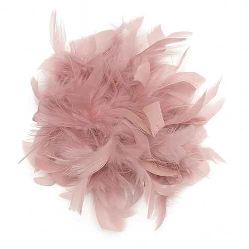Baesics Feder Brosche Groß für Damen Altrosa | XXL 2-in-1 Haarclip & Anstecknadel mit echten Federn | Fascinator für Kleid, Blazer, Mantel & als Haarschmuck für Hochzeit & Festliche Anlässe von Baesics