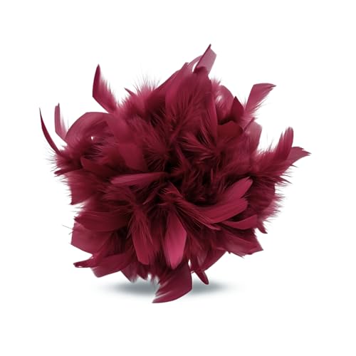 Baesics Feder Brosche Groß für Damen Bordeaux | XXL 2-in-1 Haarclip & Anstecknadel mit echten Federn | Fascinator für Kleid, Blazer, Mantel & als Haarschmuck für Hochzeit & Festliche Anlässe von Baesics