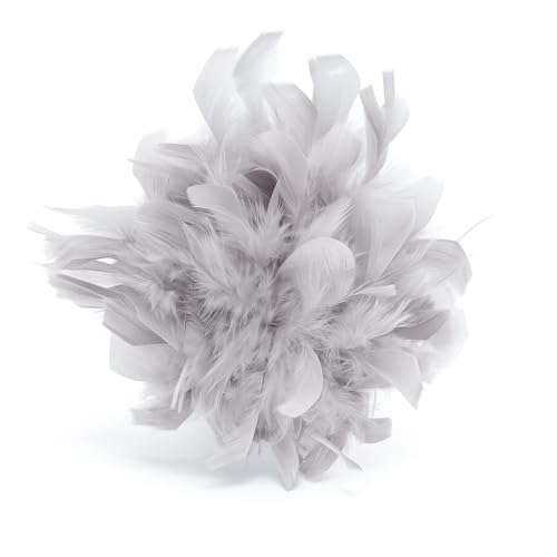 Baesics Feder Brosche Groß für Damen Hellgrau | XXL 2-in-1 Haarclip & Anstecknadel mit echten Federn | Fascinator für Kleid, Blazer, Mantel & als Haarschmuck für Hochzeit & Festliche Anlässe von Baesics