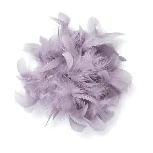 Baesics Feder Brosche Groß für Damen Lavendelgrau | XXL 2-in-1 Haarclip & Anstecknadel mit echten Federn | Fascinator für Kleid, Blazer, Mantel & als Haarschmuck für Hochzeit & Festliche Anlässe von Baesics