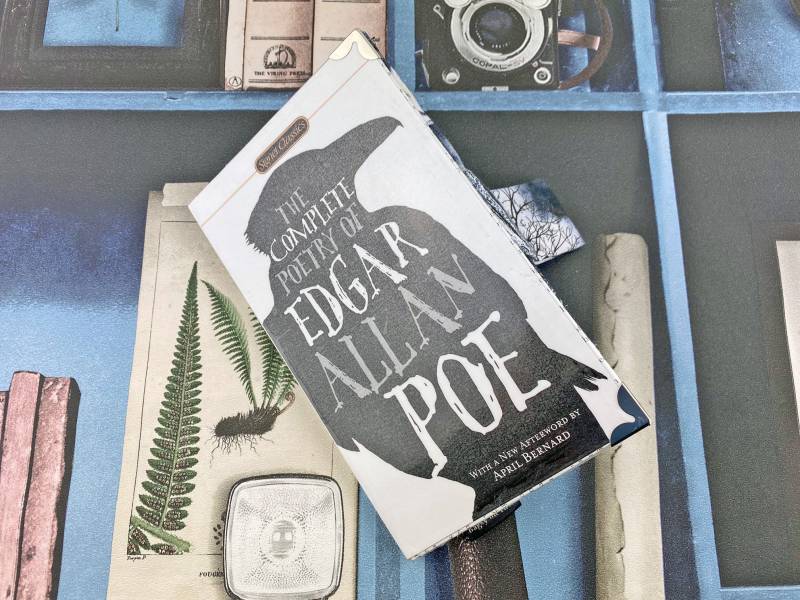 Edgar Allan Poe Geldbörse, Allen I Love Poe, Gothic Poesiebuch Münzgeldbeutel, Zitat Der Rabe „Nevermore" von BagsyMeFirst