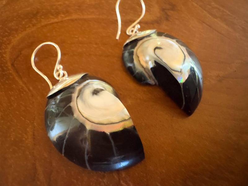 Black Nautilus Shell Earrings Set in Sterling Silber Handmade Bali von BaliMoonSilver