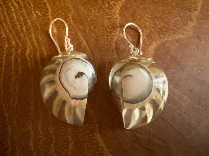 White Nautilus Shell Earrings Bali Handmade Ocean Shell Sterling Silver White Nautilus Shell Earrings Bali Handmade Ocean Shell Sterling Silver von BaliMoonSilver