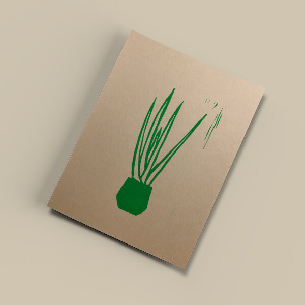 Ballenito Pflanze II – Kunstdruck DIN A5 von Ballenito