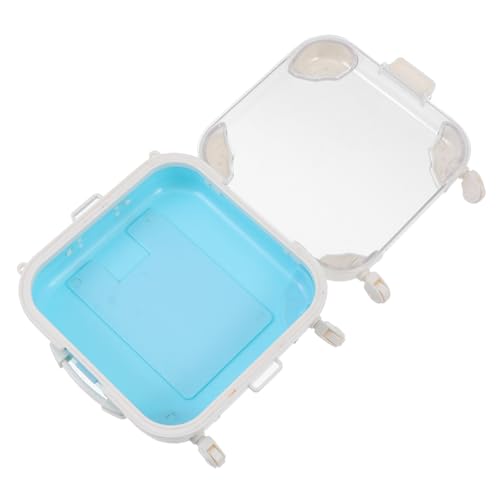 Baluue 1stück Eyelash Organizer Box Transparente Aufbewahrungsbox Für Falsche Wimpern Leichtgewichtiger Und Tragbarer Wimpern-container Für Reisen Und Alltag Für Schönheit Und von Baluue