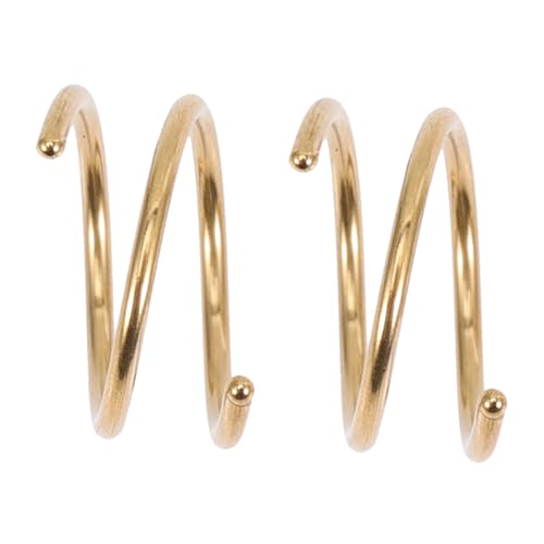 Baluue 2 Stück Spiralförmige Nasenringe Damen Edelstahl Schwarz Hautfreundlich Rostfrei Modischer Fake Nose Hoop Schmuck für Nase und Ohr von Baluue