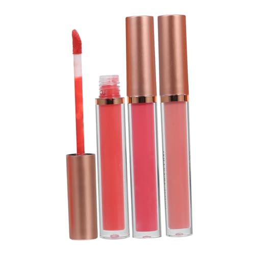 Baluue 3stücke Teiliges Lippen-make-up-set Mit Wasserdichtem Samtigem Finish Langlebiger Liquid Lipstick Lip Plumper Und Lip Gloss Für Frauen Für Jeden Anlass von Baluue