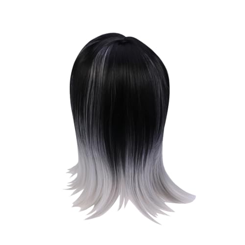 Baluue Perücke Aus Hochtemperatur-synthetikfaser Schulterlang Glatte Haarperücke Für Damen in Schwarz Hellgrau Mit Verstellbarem Haken Und Atmungsaktiver Netzkappe von Baluue