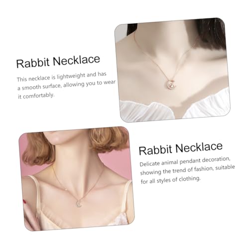 Baluue Sterling Silber Stern Mond und Hase Halskette mit Zirkonia Anhänger Zarte Damen Kette Eleganter Schmuck für Mädchen Frauen zu Geburtstag Weihnachten von Baluue