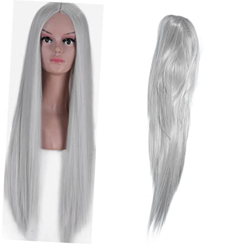 Baluue Fashion Lange Gerade Synthetikperücke Mit Silberner Spitze Natürlich Aussehendes Haar Für Mädchen Und Frauen Für Alltag Partys Und Cosplay von Baluue