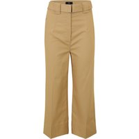 Hose von Banana Republic Petite