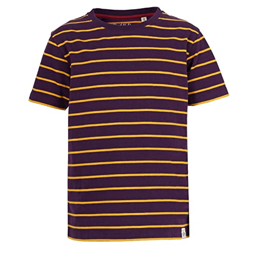 Band of Rascals Kinder Kurzarm T-Shirt Striped aus Bio-Baumwolle, Dark-Purple-Mustard, Gr. 152 von Band of Rascals