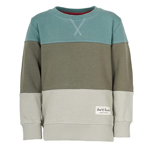 Band of Rascals Kinder Sweatshirt 3C Block aus Bio-Baumwolle, sage-moos, Gr. 122/128 von Band of Rascals