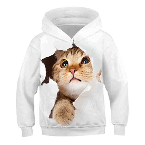 Kinder Hoodie 3D Gedruckt Katze Sweatshirt Langarm Kinder Pullover Jungen Mädchen Nette Kinder Herbst Tops YT-3228 9T von Bangqi