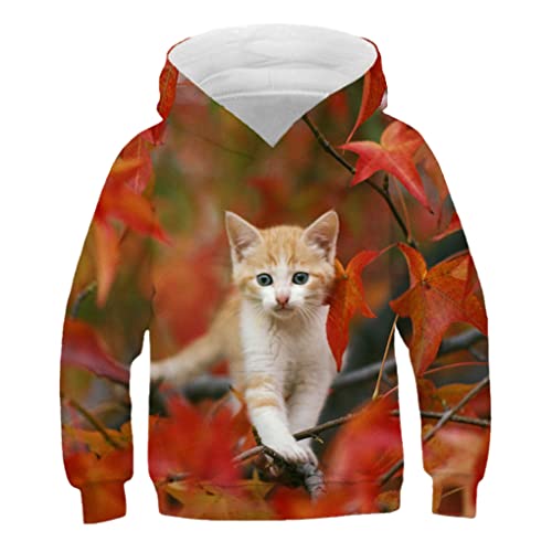 Kinder Nette Katze 3D Gedruckt Hoodie Jungen Mädchen Cooles Sweatshirt Hoodie Kindermode Pullover Kleidung Tops 9W53 12T von Bangqi