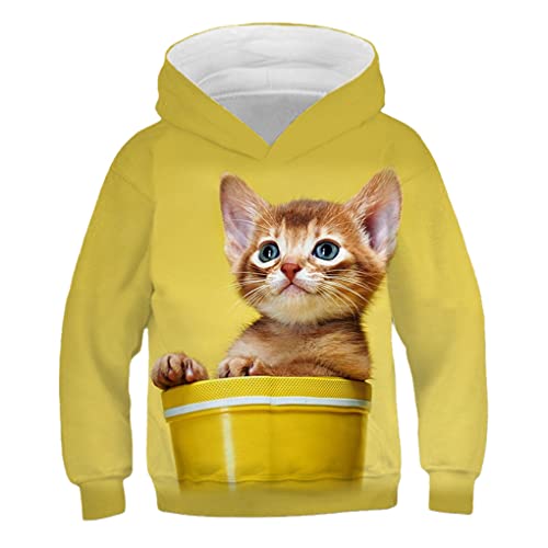 Kinder Nette Katze 3D Gedruckt Hoodie Jungen Mädchen Cooles Sweatshirt Hoodie Kindermode Pullover Kleidung Tops 9W59 11T von Bangqi
