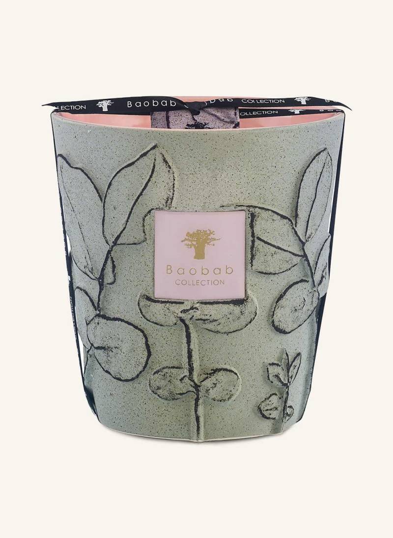 Baobab Collection Duftkerze Folia Maquis gruen Baobab Collection Duftkerze Folia Maquis gruen von Baobab COLLECTION