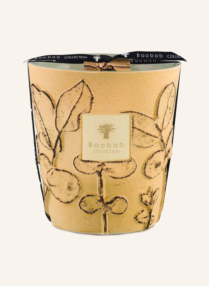 Baobab Collection Duftkerze Garrigue gelb von Baobab COLLECTION