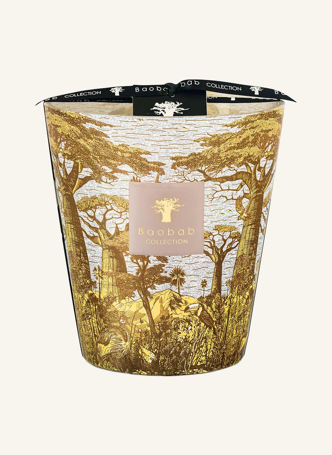 Baobab Collection Duftkerze Sacred Trees Bounkani gelb von Baobab COLLECTION