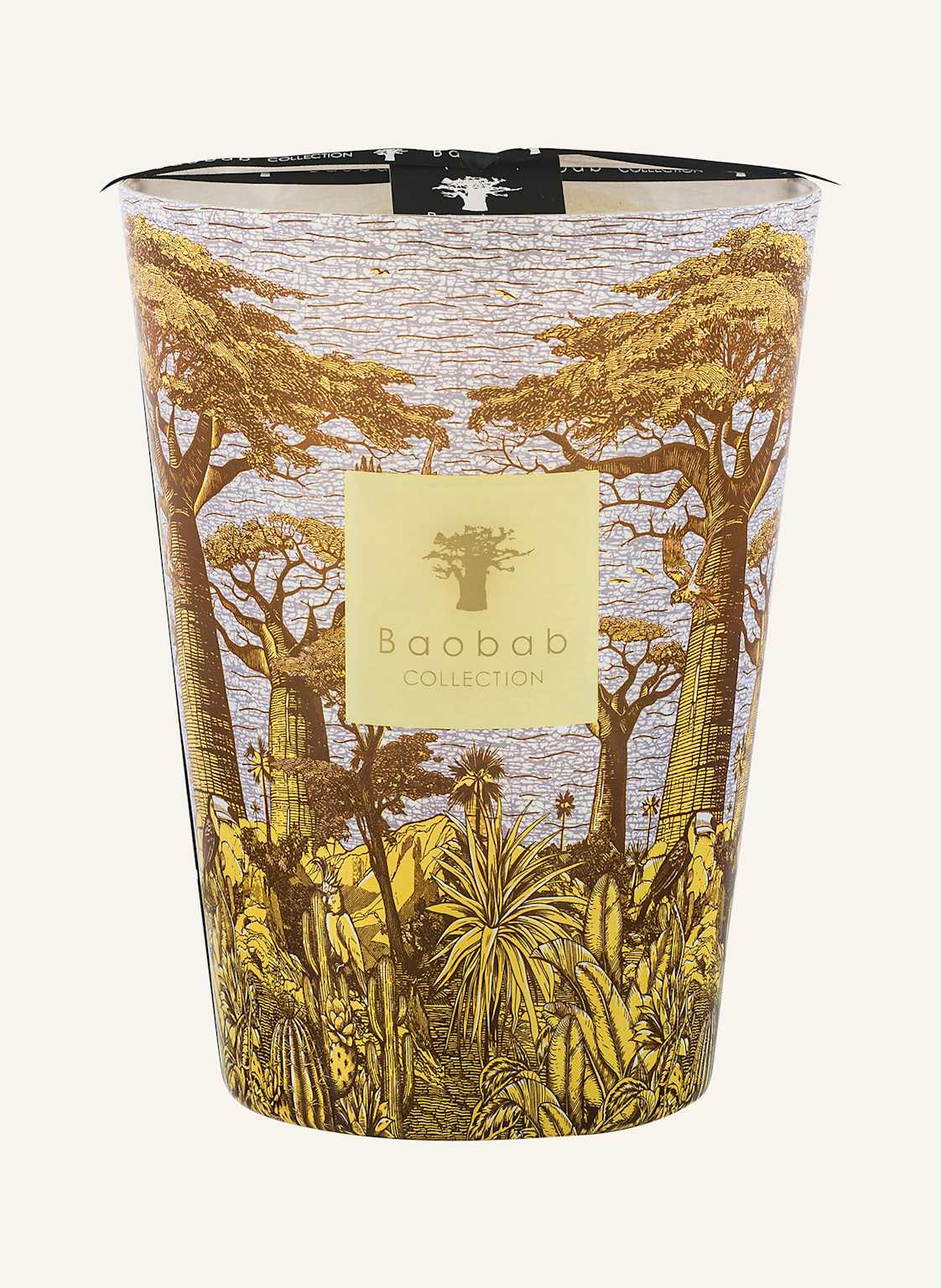 Baobab Collection Duftkerze Sacred Trees Cocody gelb von Baobab COLLECTION