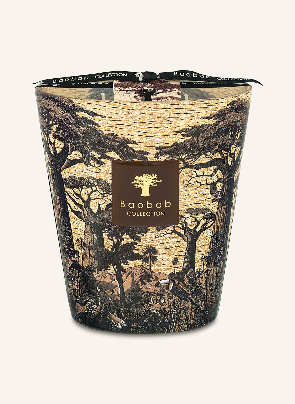 Baobab Collection Duftkerze Sacred Trees Mankono braun von Baobab COLLECTION