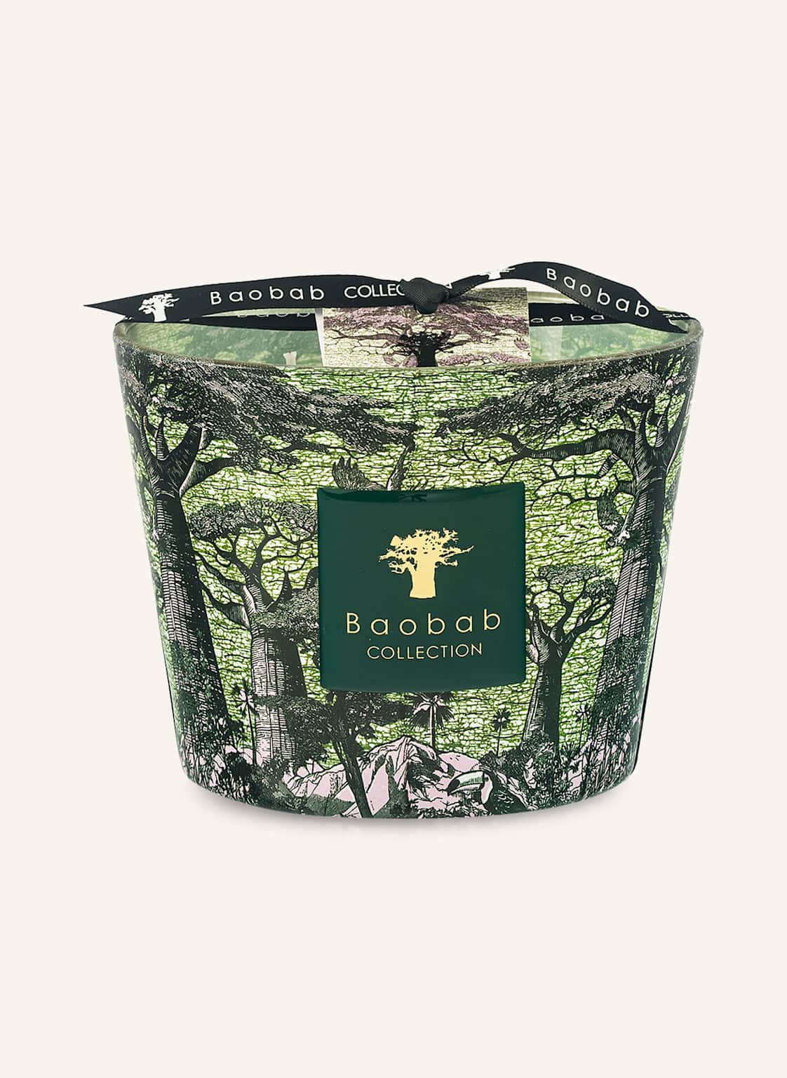 Baobab Collection Duftkerze Sacred Trees Touba gruen von Baobab COLLECTION